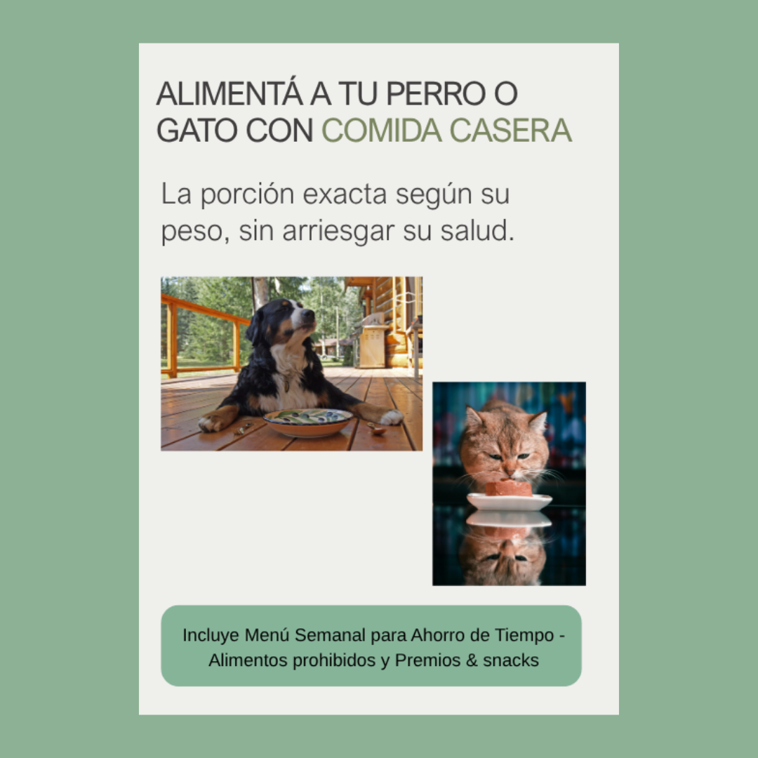 Alimentá a tu perro o gato con comida casera + 3 Bonos. La porción exacta según su peso, sin arriesgar su salud